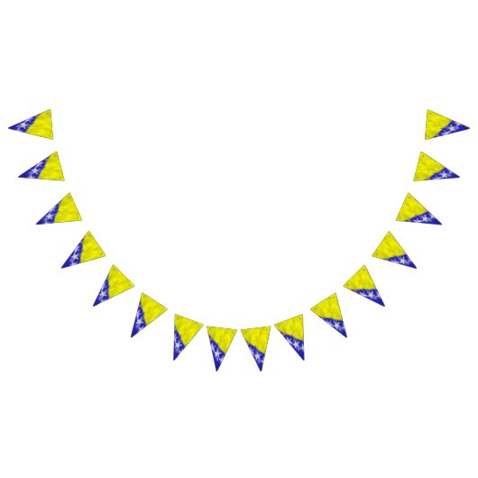 Bosnia and Herzegovina Oil Painting Drawing Vlaggetjes (Alle)