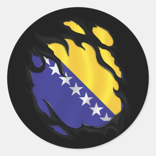 Bosnië en Herzegovina scheurde vlag Ronde Sticker (Voorkant)