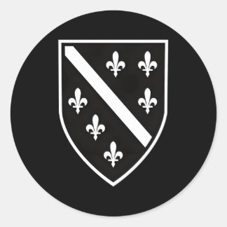 Bosnië Vlag Herzegovina Vlag Balkan Bosniërs Bosni Ronde Sticker