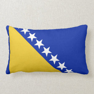 Bosnië-vlag Kussen