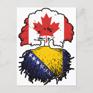 Bosnisch-Canadese vlag voor boomstammen Briefkaart