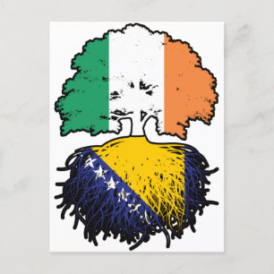 Bosnisch-Iers-boomroetvlag Briefkaart