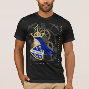 Bosnisch Koninkrijk / BOSANSKO kraljevstvo T-shirt