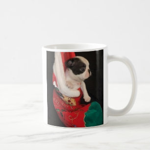 Boson Pup in de Mok voor kerststaarten