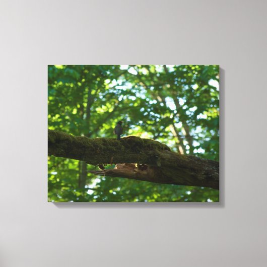 Bosoverschrijding Canvas Afdruk (Voorkant)