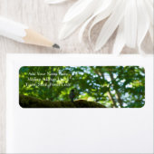 Bosoverschrijding Etiket (Insitu)