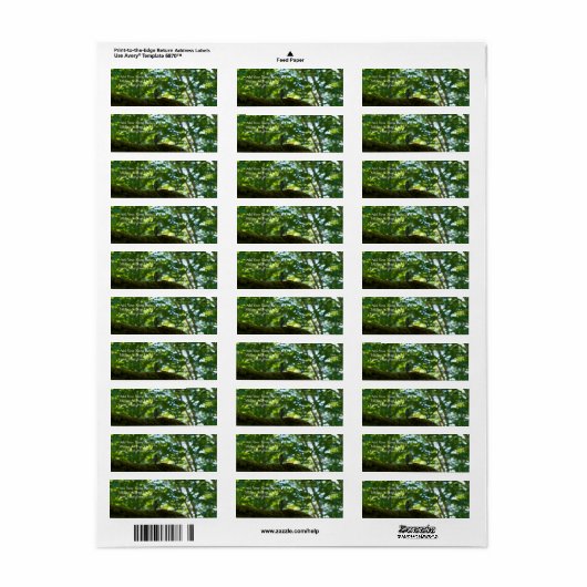 Bosoverschrijding Etiket (Full Sheet)