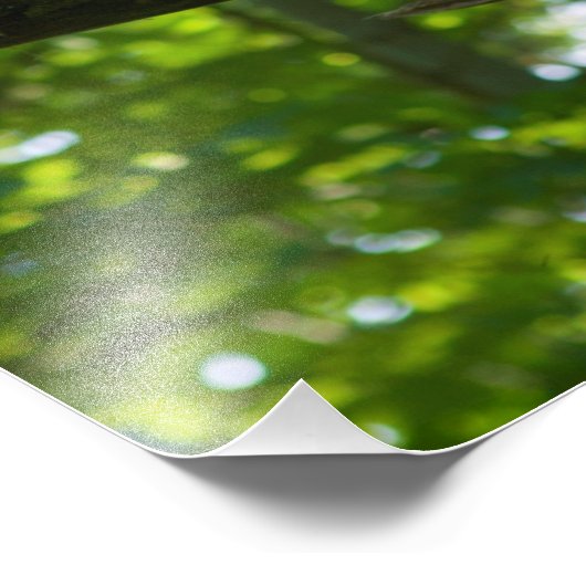 Bosoverschrijding Foto Afdruk (Hoek)