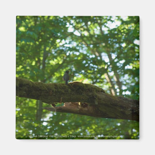 Bosoverschrijding Magneet (Voorkant)