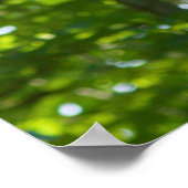 Bosoverschrijding Poster (Hoek)