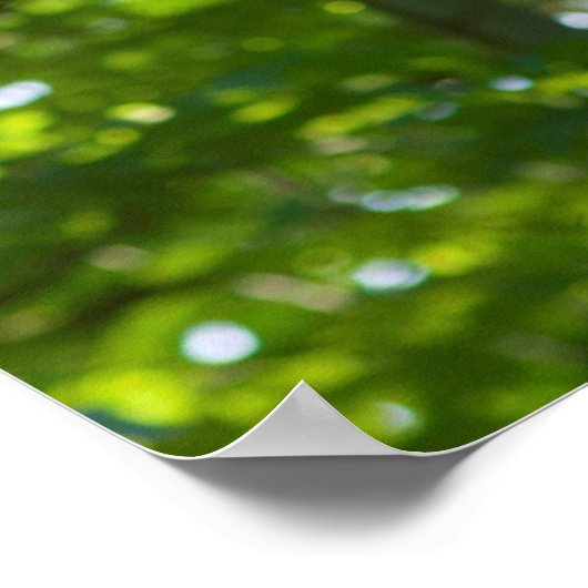 Bosoverschrijding Poster (Hoek)