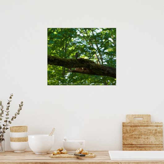 Bosoverschrijding Poster (Keuken)