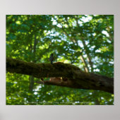 Bosoverschrijding Poster (Voorkant)