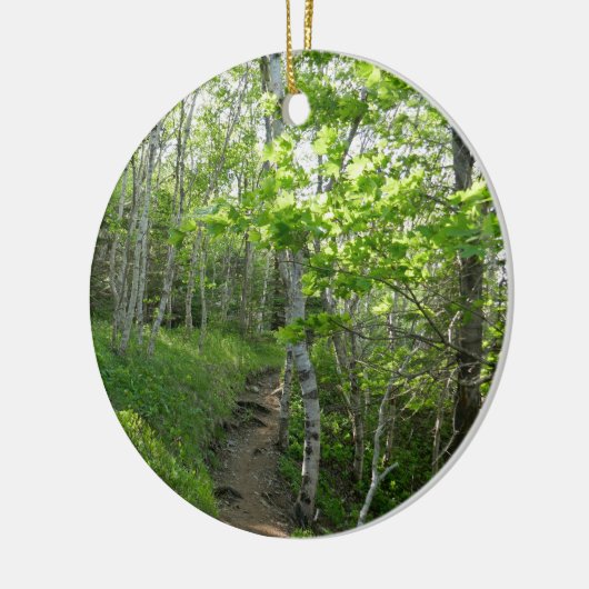 Bospad bij Acadia Keramisch Ornament (Links)