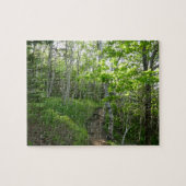 Bospad bij Acadia Legpuzzel (Horizontaal)