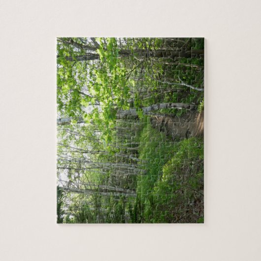 Bospad bij Acadia Legpuzzel (Verticaal)