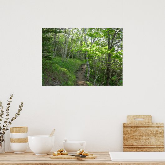 Bospad bij Acadia Poster (Keuken)