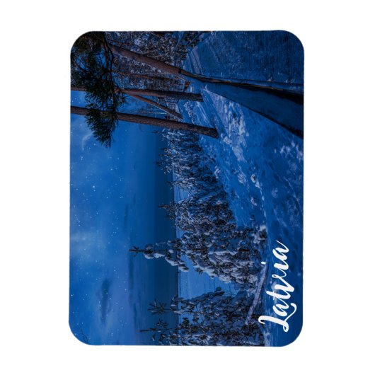 Bospad bij winternachtmagnet magneet (Verticaal)