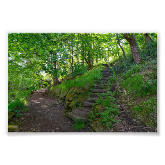 Bospad in Allan Park Sowerby Bridge Foto Afdruk