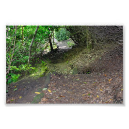 Bospad in Allan Park Sowerby Bridge Foto Afdruk