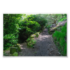 Bospad in Allan Park Sowerby Bridge Foto Afdruk