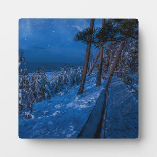Bospad in de winternacht fotoplaat