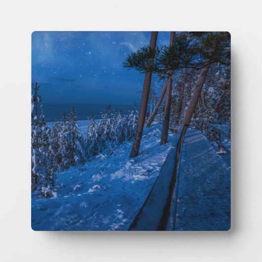 Bospad in de winternacht fotoplaat (Voorkant)