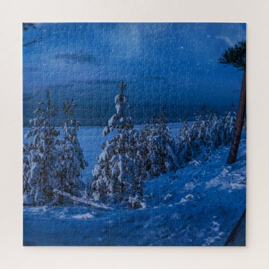 Bospad in de winternacht legpuzzel (Verticaal)