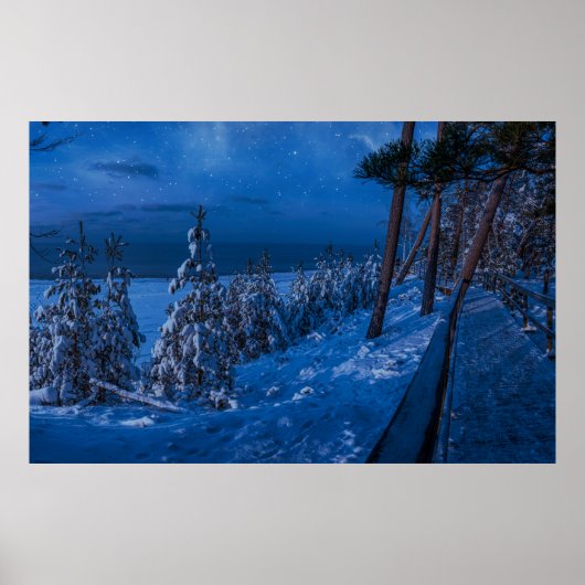 Bospad in de winternacht poster (Voorkant)