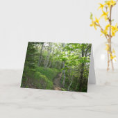 Bospad in het Acadia National Park Kaart (Gele Bloem)