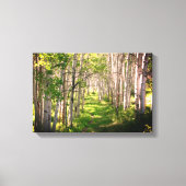 Bospad in late lente canvas afdruk (Voorkant)