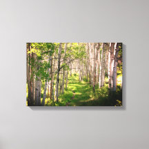 Bospad in late lente