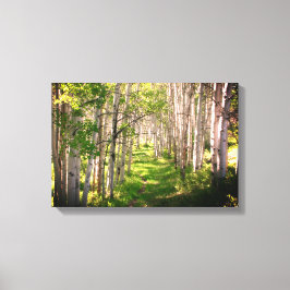 Bospad in late lente canvas afdruk