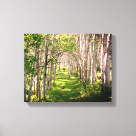 Bospad in late lente canvas afdruk