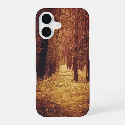 Bospad... iPhone 16 Hoesje (Achterkant)