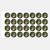 Bospad Labels (Vel)