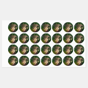 Bospad Labels