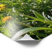 Bospad met gele wilde bloemen foto afdruk (Hoek)