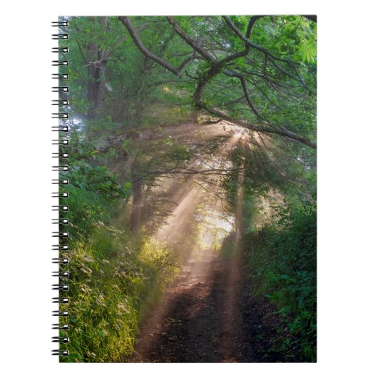 Bospad Notitieboek (Voorkant)