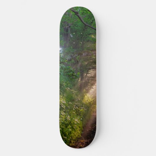 Bospad Persoonlijk Skateboard (Voorkant)