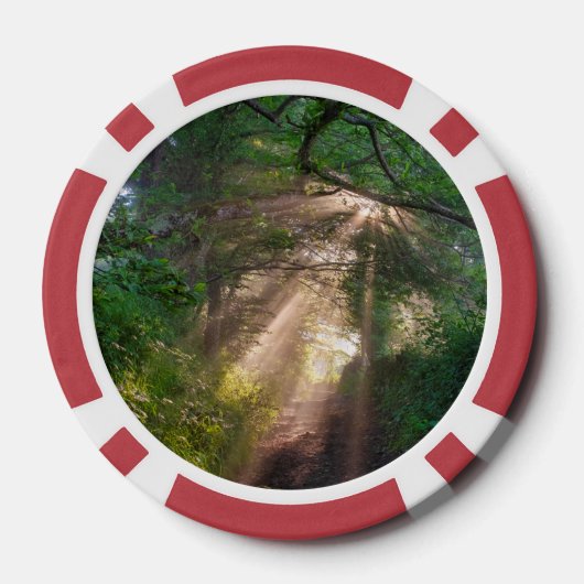 Bospad Poker Chips (Achterkant)