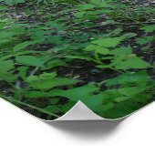 Bospad Poster (Hoek)