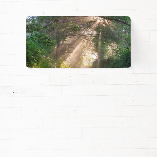 Bospad Spandoek (Insitu)