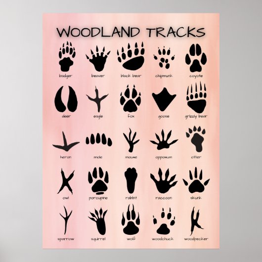 Bospaden Poster (Voorkant)