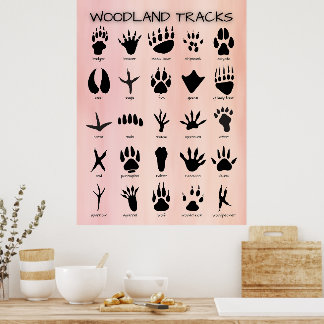Bospaden Poster