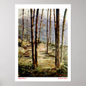 Bosque/bos Poster (Voorkant)