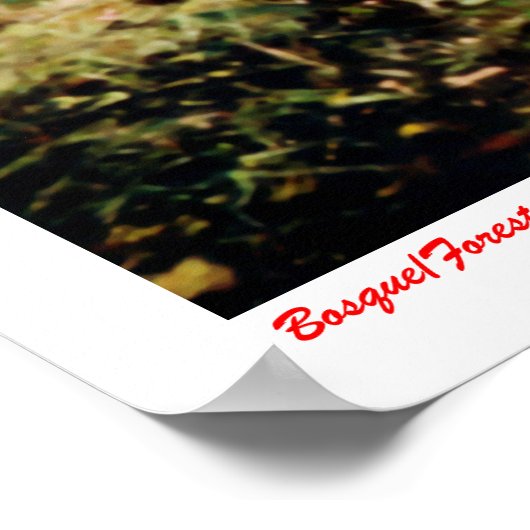 Bosque/bos Poster (Hoek)