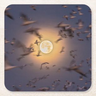 Bosque del Apache National Wildlife Refuge Kartonnen Onderzetters