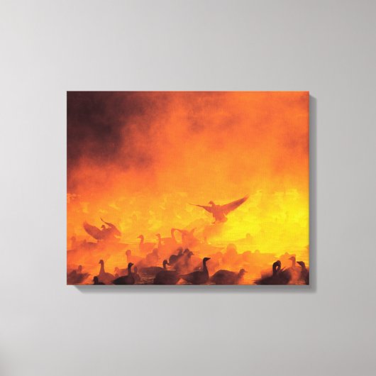 Bosque del Apache National Wildlife Refuge, NM Canvas Afdruk (Voorkant)