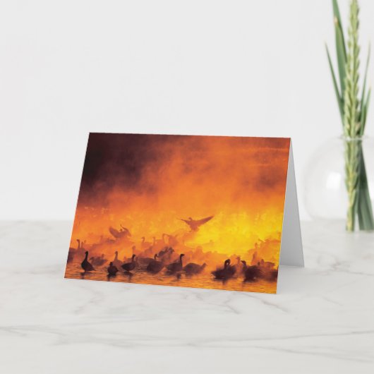 Bosque del Apache National Wildlife Refuge, NM Kaart (Voorkant)